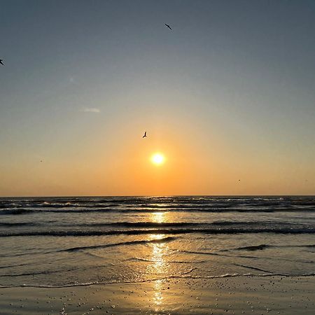 Excelsior Apartaments Mamaia Nord Năvodari 외부 사진